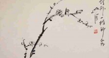 官办与民办发证机构,究竟谁在发放山寨证书?