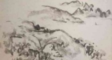 人社部鉴定中心 “只许州官放火,不许百姓点灯”